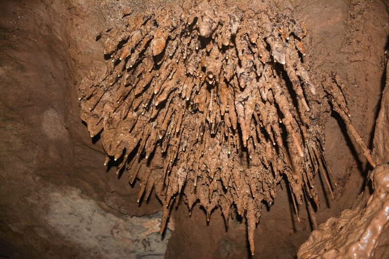 مغامرون يستكشفون كهف (بركة الشرف) ويتحدثون عن خصائصه، فهل تريد زيارته؟