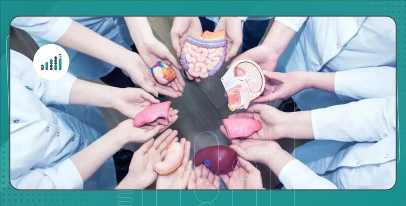 احذروا من جمع الأموال لزراعة الأعضاء في الخارج