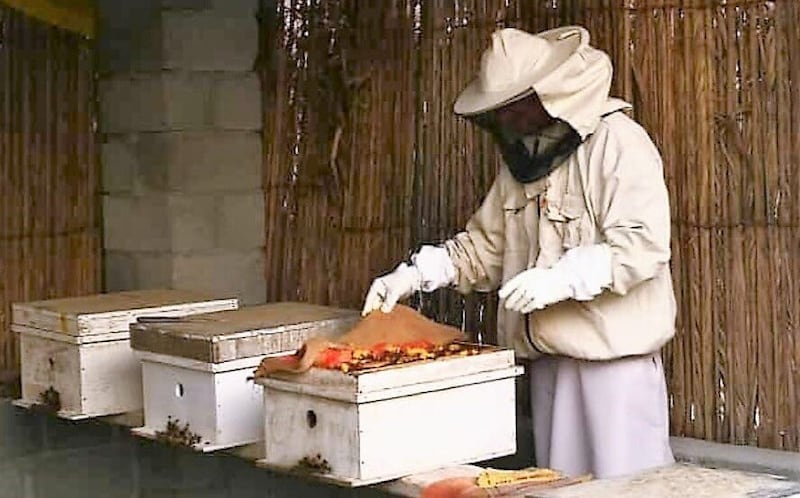 طريقتان لتربية العسل…والعماني له نوعان