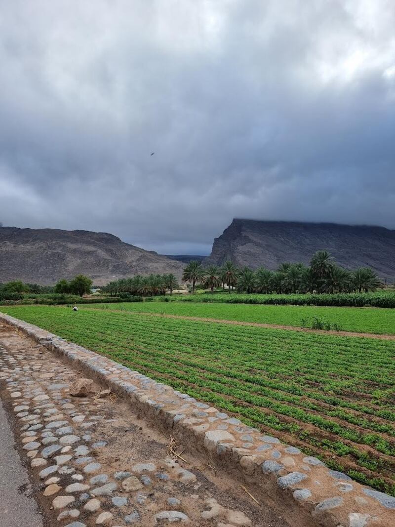 سلة غذائية ووجهة سياحية: هل زرت قرية تنوف؟