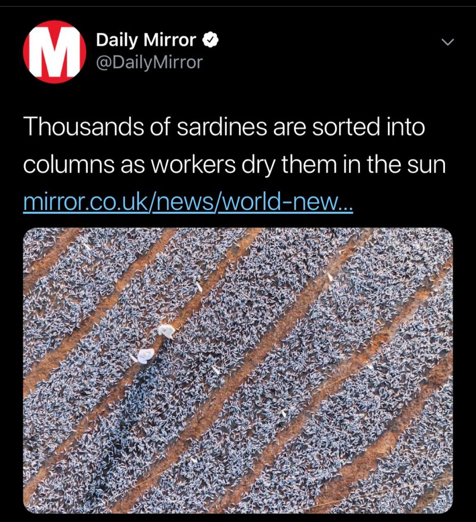 موقع عالمي يختار “سوق نزوى” كأفضل صورة..وصاحبها يوضح