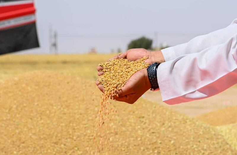 تعميم جديد: الحكومة ستواصل دعمها للقمح