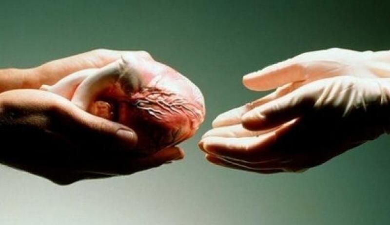 إذا كنت مترددًا في التبرع بأعضائك، اقرأ هذا الخبر عن أهميته