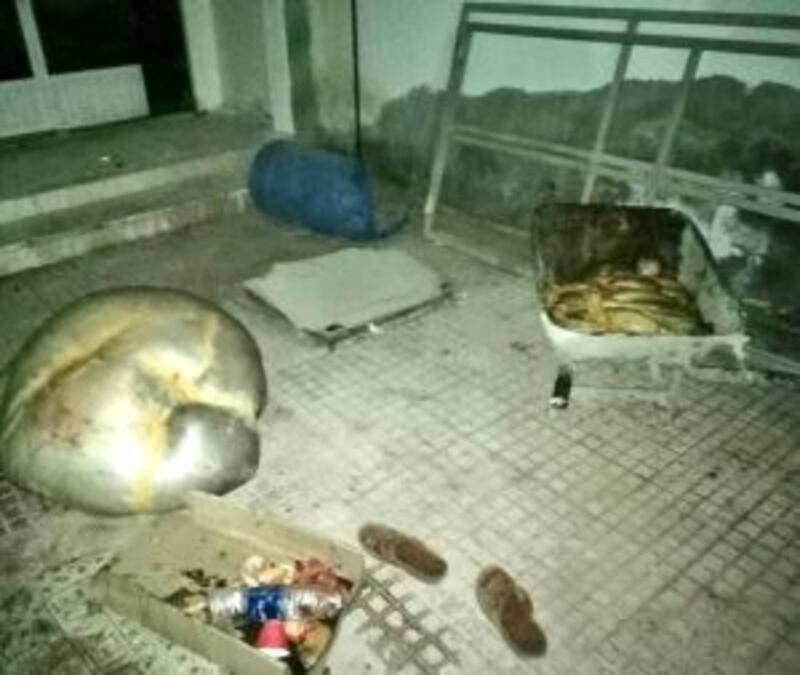 في مسقط: ذبح ذبائح لمطعم بطريقة غير شرعية