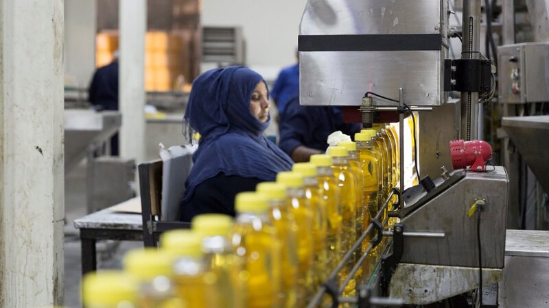 الاستثمارات تتدفق إلى “ريسوت الصناعية”.. ومديرها العام يوضح بالأرقام