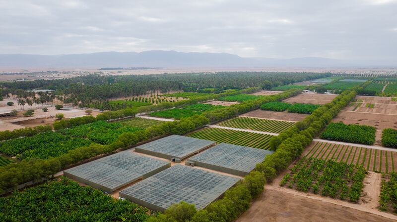 للراغبين بزيارة مزرعة رزات السلطانية، إليك معلومات تهمك
