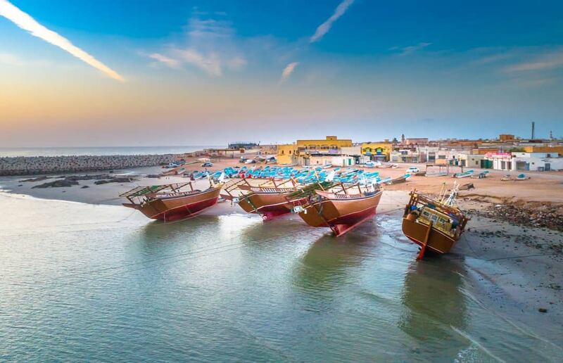 22 قرية بجعلان بني بوعلي تُصدِّر أسماكًا ذات جودة عالية