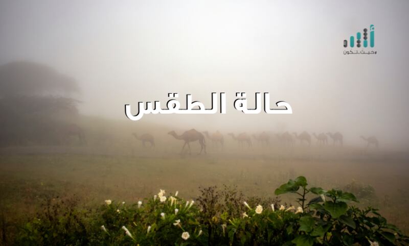 توقعات الطقس لليوم الخميس