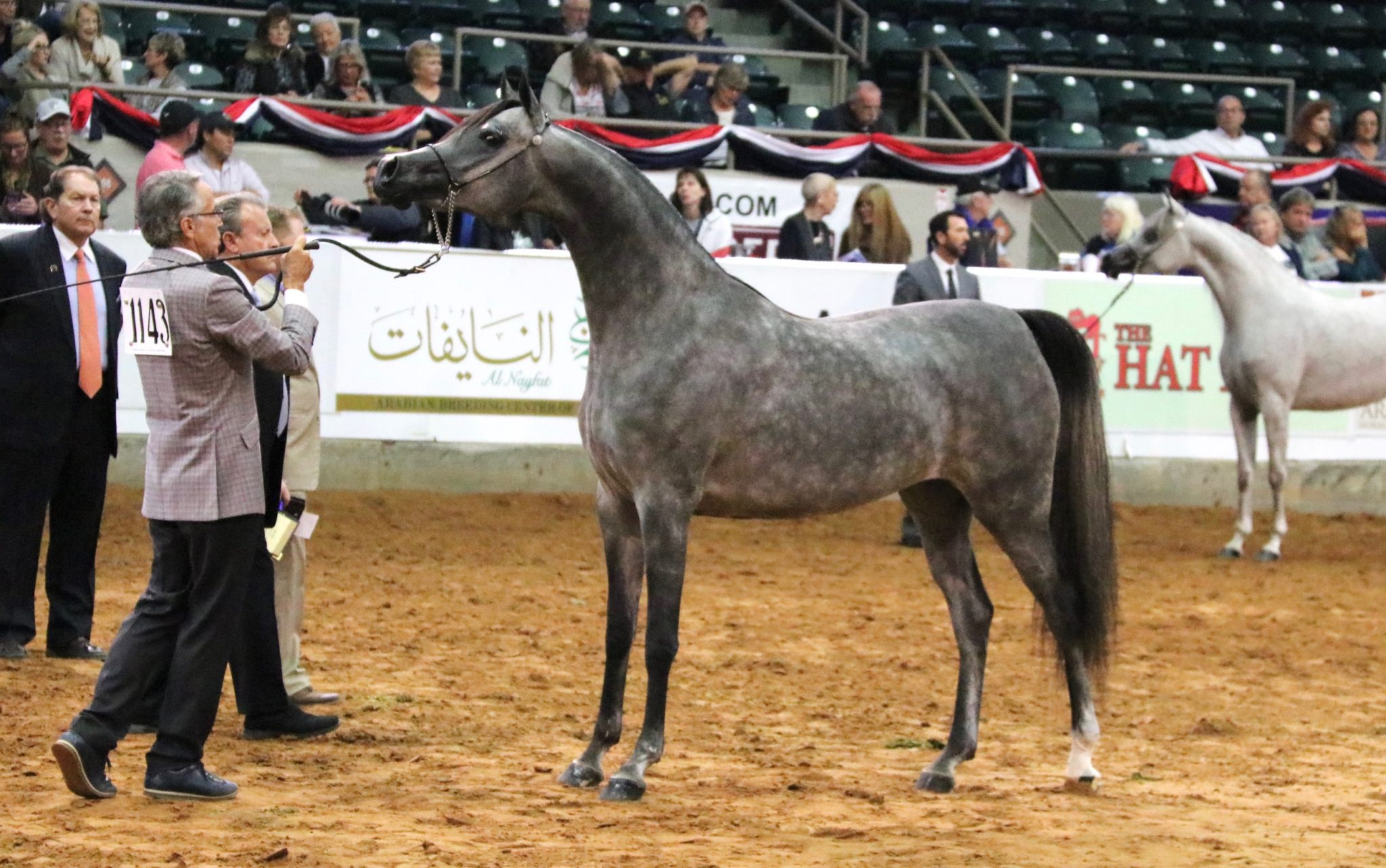 مهرة للخيالة السلطانية تضيف إنجازًا جديدًا