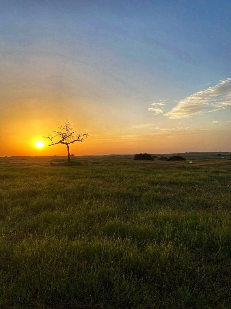 وسائل التواصل ساعدت في تداوله: دبرارتٌ.. فنٌ محلي من ظفار