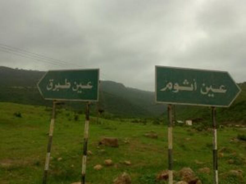 ماذا تعرف عن عين طبرق ذات الأشجار الكثيفة؟