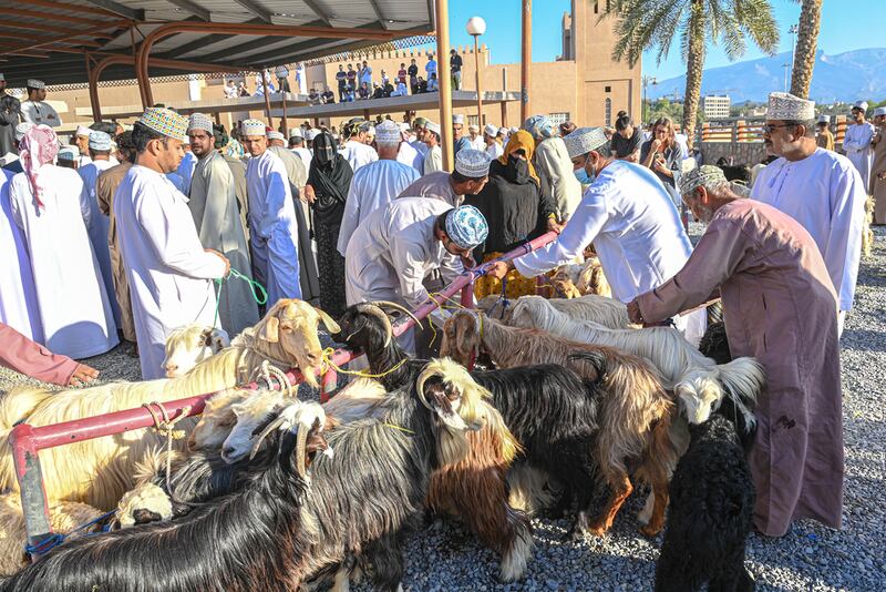 مع قرب عيد الفطر، نصائح تهمك عند شراء الماشية