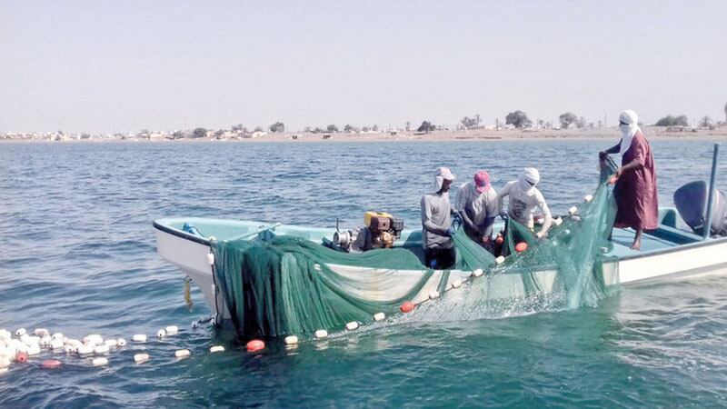 حتى نستفيد من خيرات بحرنا: هل يلتزم الصيادون باشتراطات معدات الصيد؟