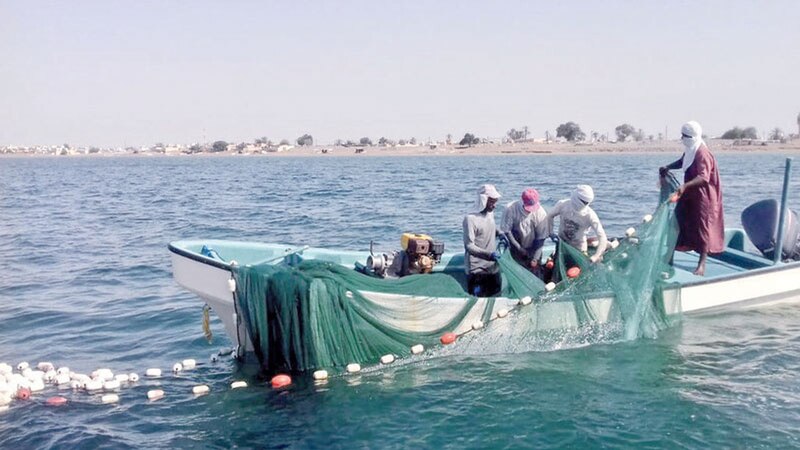 حتى نستفيد من خيرات بحرنا: هل يلتزم الصيادون باشتراطات معدات الصيد؟