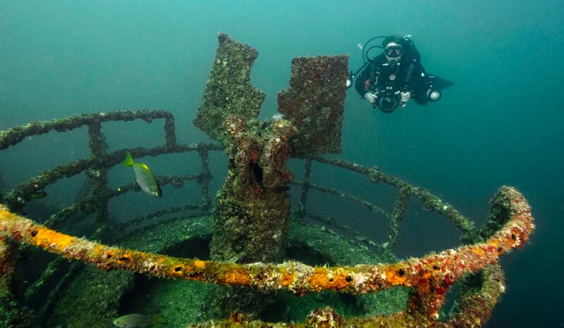 بالصور: شاهد السفينة التي أُغرقت بأوامر من السلطان قابوس قبل 20 عامًا