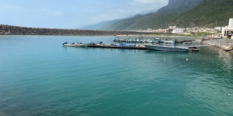 لأهالي ضلكوت: بدء المزايدة الاستثمارية على ميناء ولايتكم