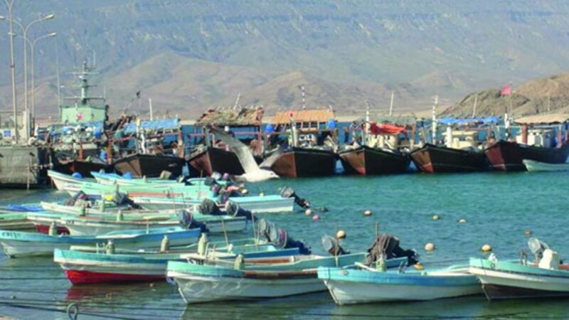 بعد يومين: صيد الكنعد مسموح به