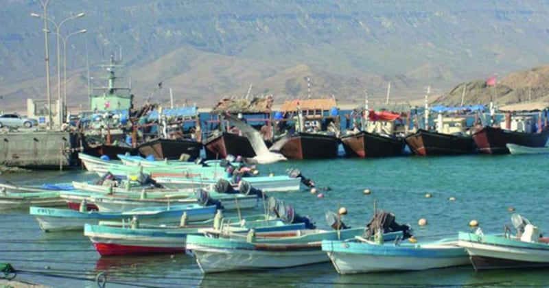 بعد يومين: صيد الكنعد مسموح به