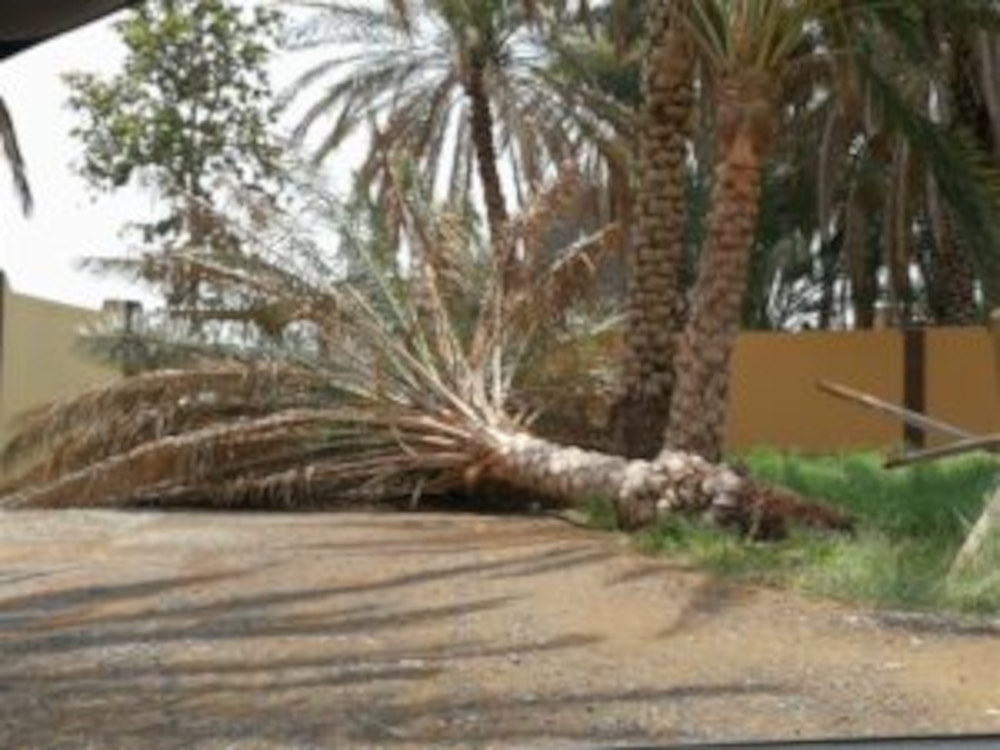 أضرار في عدد من الولايات بسبب الأمطار
