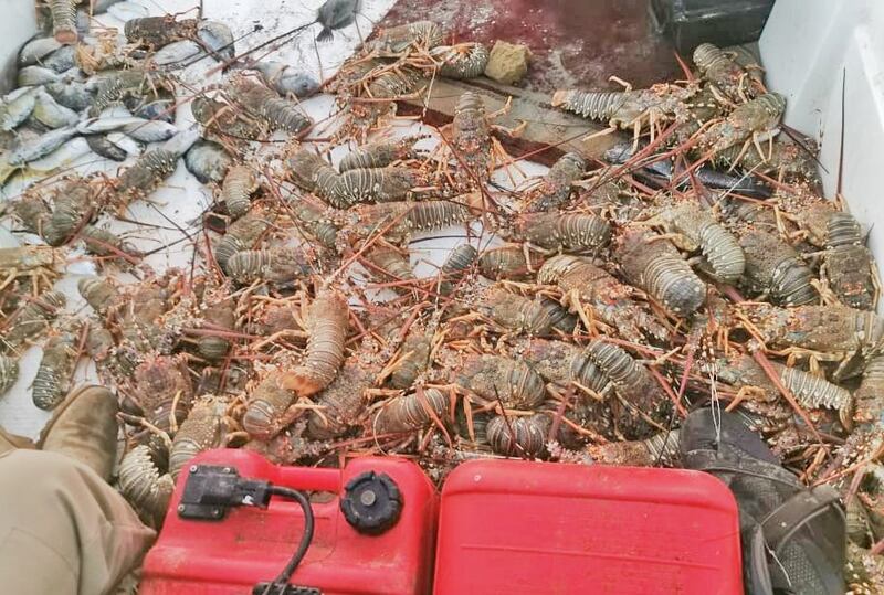 بالصور: عماني ووافدان يخالفون قانون الصيد البحري