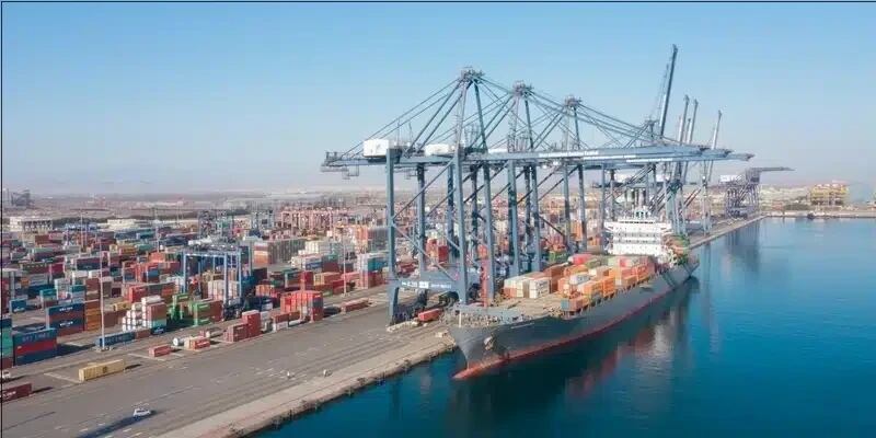 بالأرقام: نمو المبيعات المُؤمّنة بـ “كريدت عُمان”