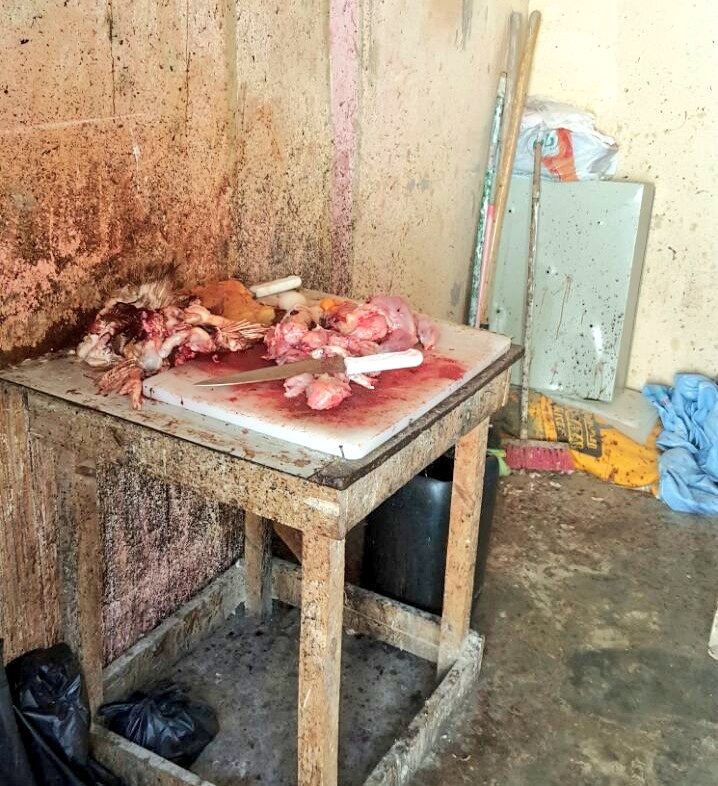 بالصور.. وافدون يحولون منزلا إلى مطعم