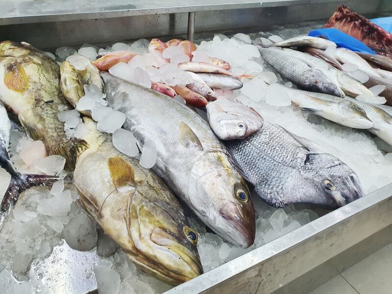 محافظة جنوب الشرقية: تنوع جغرافي وثروة مائية حية