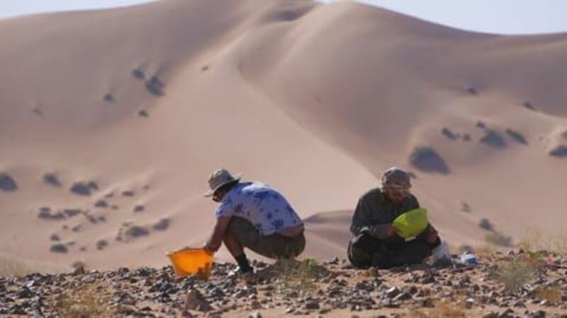 بالصور: علماء تشيكيون يعثرون على اكتشافات أثرية غامضة في سلطنة عمان