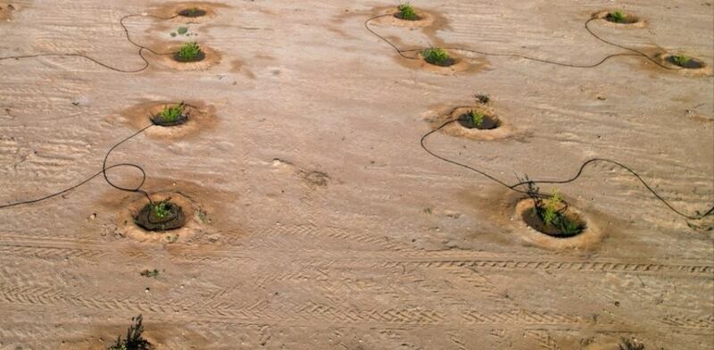 سيسهم في تحقيق الأمن الغذائي: إطلاق أول مشاريع الاعتماد الكربوني