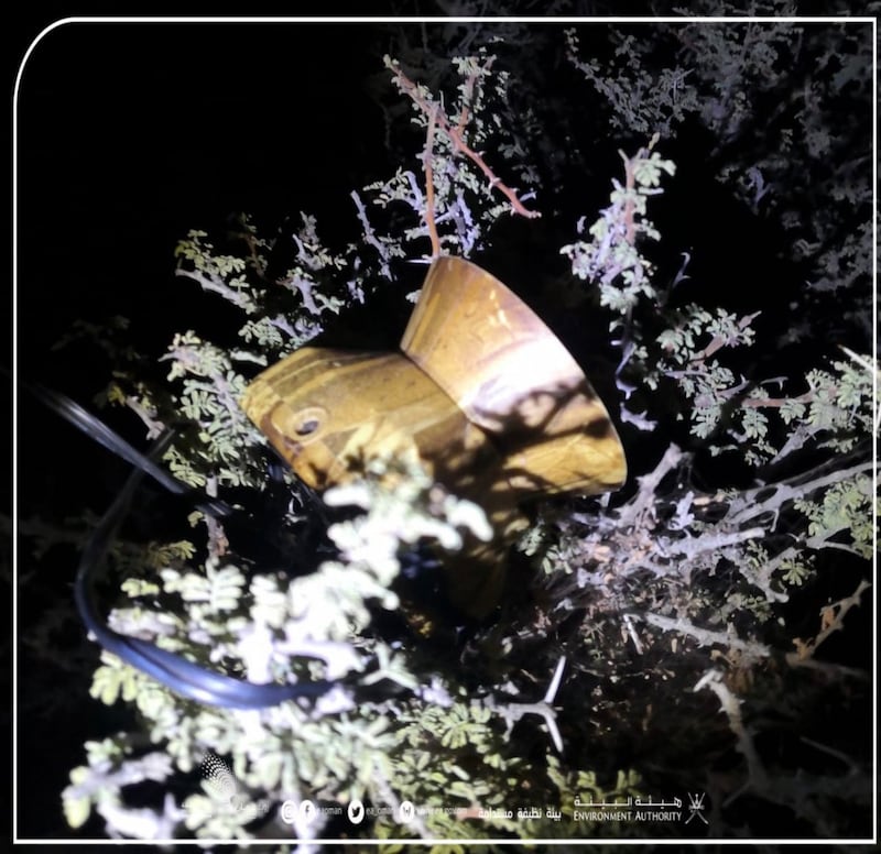 بعد ضبطها: ما الغرامة التي ستُفرَض على واضعي أجهزة محاكاة الطيور؟