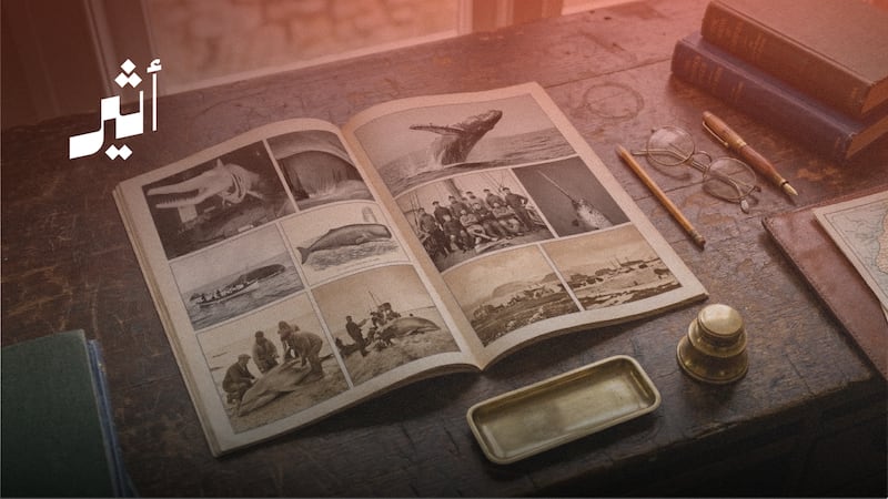 صياد من شناص يُنقذ البحر: قصة انتشال الحوت العملاق عام 1995م