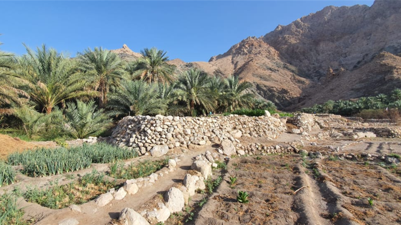 تعرف على قرية “سمكت”