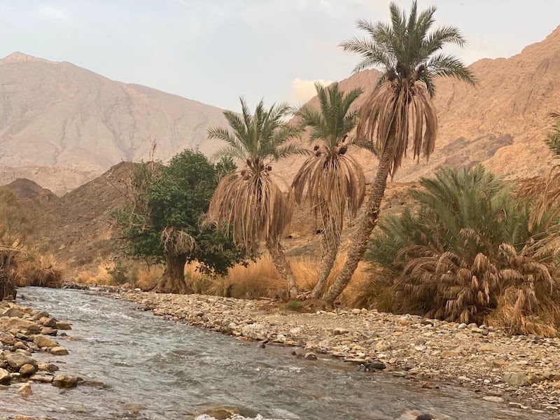 تدفق المياه يُغريك إلى زيارة أحد أودية عبري