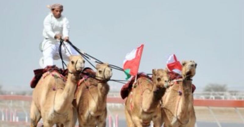 الخنجر العماني وحداء الإبل يُسجّلان في “اليونسكو”