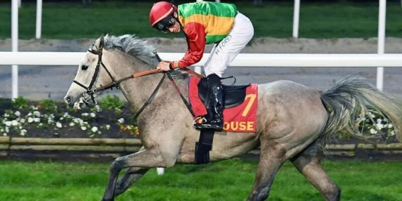 “فطينة” تفوز بالمركز الأول على مضمار فرنسي