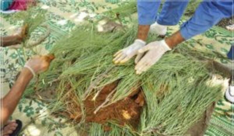 الشواء العُماني وجبة العيد الفريدة ..تعرّف على مراحل إعداده بالصور