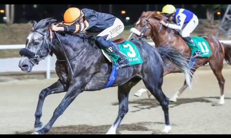 مراكز جديدة مُتقدمة للخيول العُمانية على المضامير الإماراتية