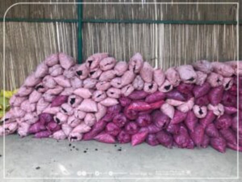 وافدون “يسخّمون” أكوامًا كبيرة من حطب السمر والغاف الخضراء