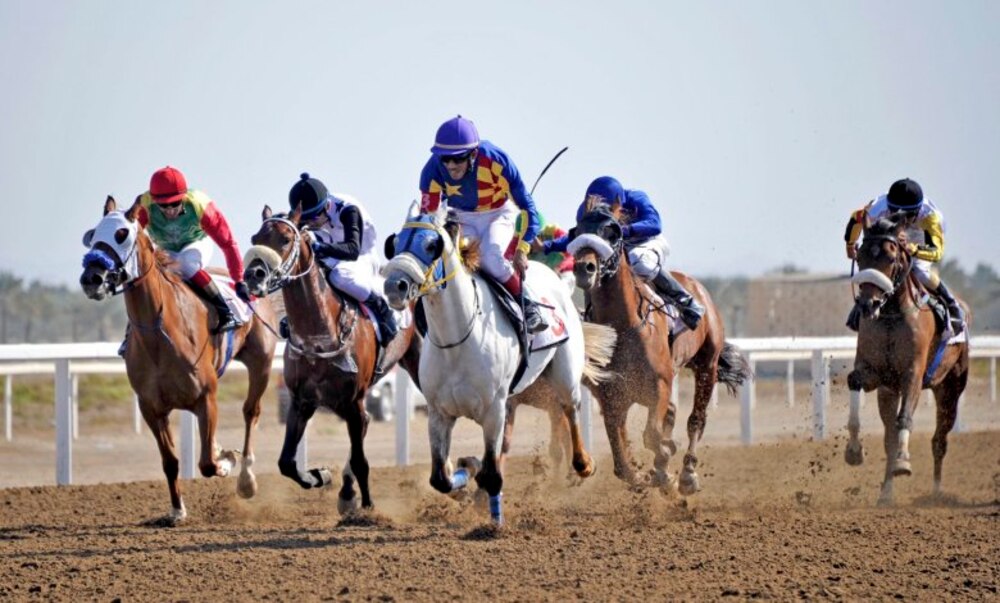 ملّاك الخيل يطرحون تساؤلات حول السباقات.. ويُطالبون بالاهتمام