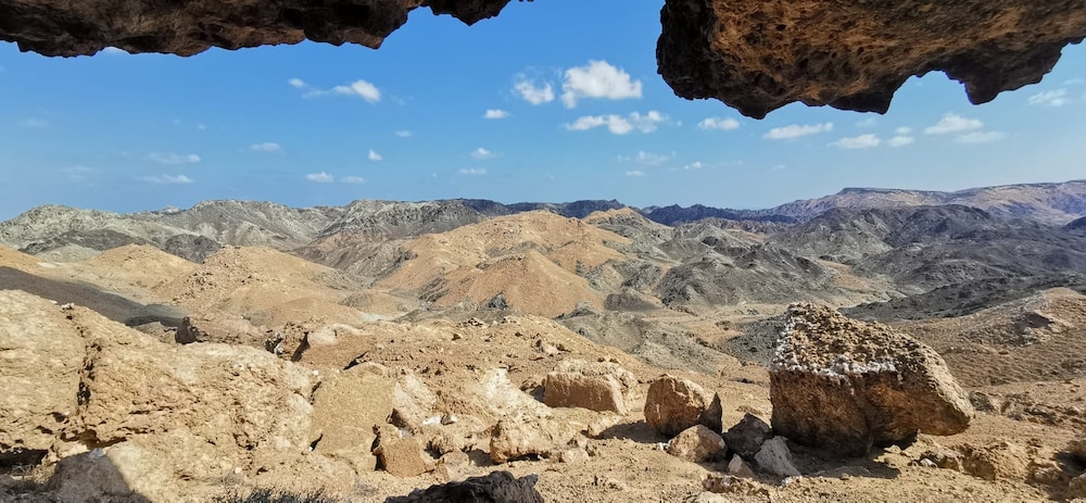 اكتشافات جديدة: آثار لغزلان وأرانب وزواحف في مصيرة