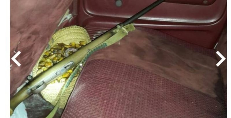 حكم قضائي ضد صائدي غزال.. وديوان البلاط السلطاني يكشف تفاصيل القضية