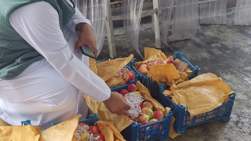 ضبطية جديدة: صناديق فواكه تحتوي على قصاصات من القرآن الكريم