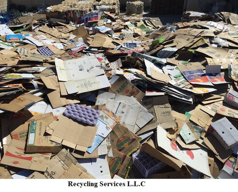 “فكرة” تحوّلت إلى “شركة”: شابان عُمانيان يؤسسان مشروعًا لاستثمار المخلفات