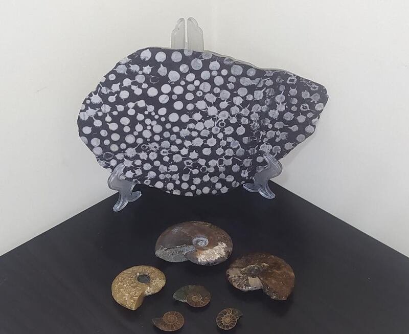 مغامر عماني لُقّب بصائد النيازك يتحدث عن تجربته في البحث عنها