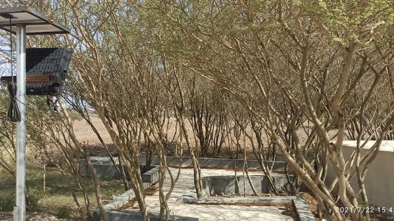 ممشى بإنارة تعمل بالطاقة الشمسية