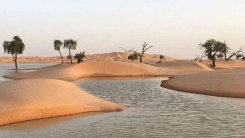 بها بئر بمياه كبريتية: تعرّف على إحدى واحات ولاية مقشن
