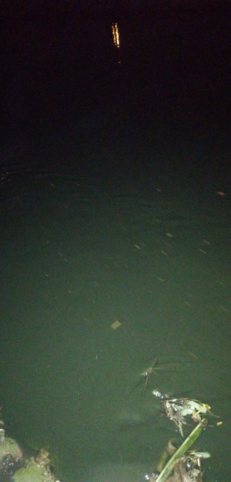 بالصور: وادٍ أسود في الخابورة ومواطنون مُتفاجِئون