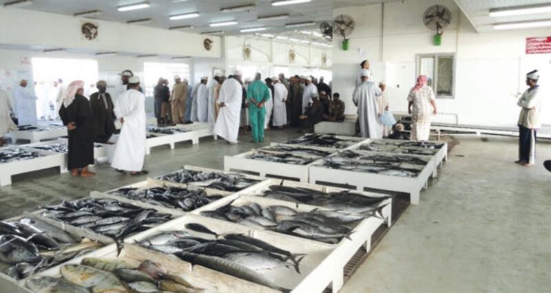 قرار وزاري: حظر تصدير بعض أنواع الأسماك