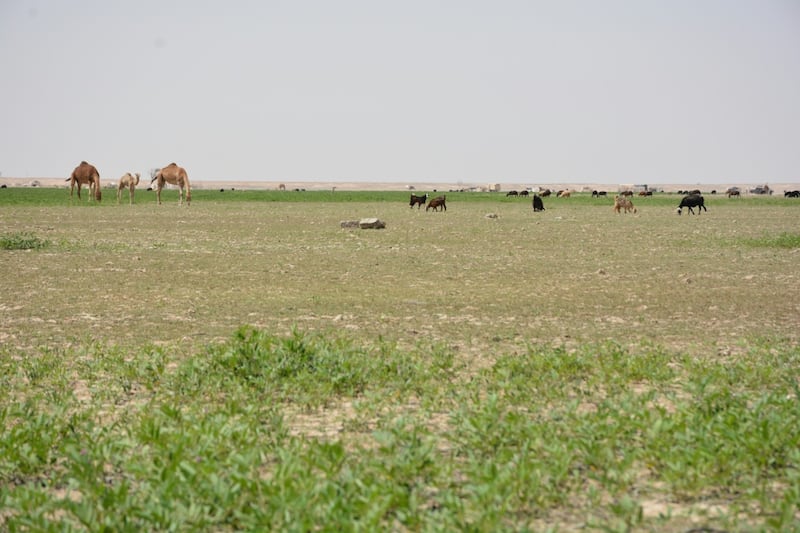 بالصور: “قوع الجوبة” قرية عُمانية يقصدها الزوار للراحة والاستجمام
