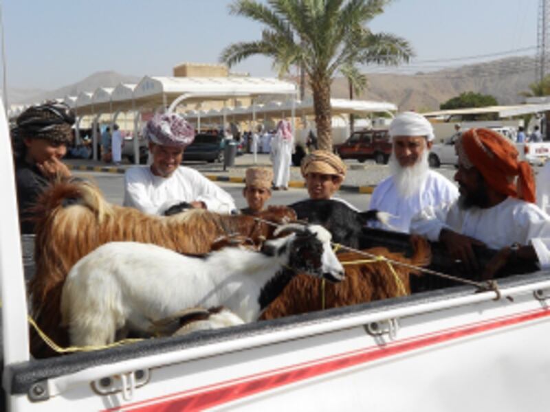 الهبطة أول أفراح العمانيين بعيد الفطر… فماذا تعرف عنها؟